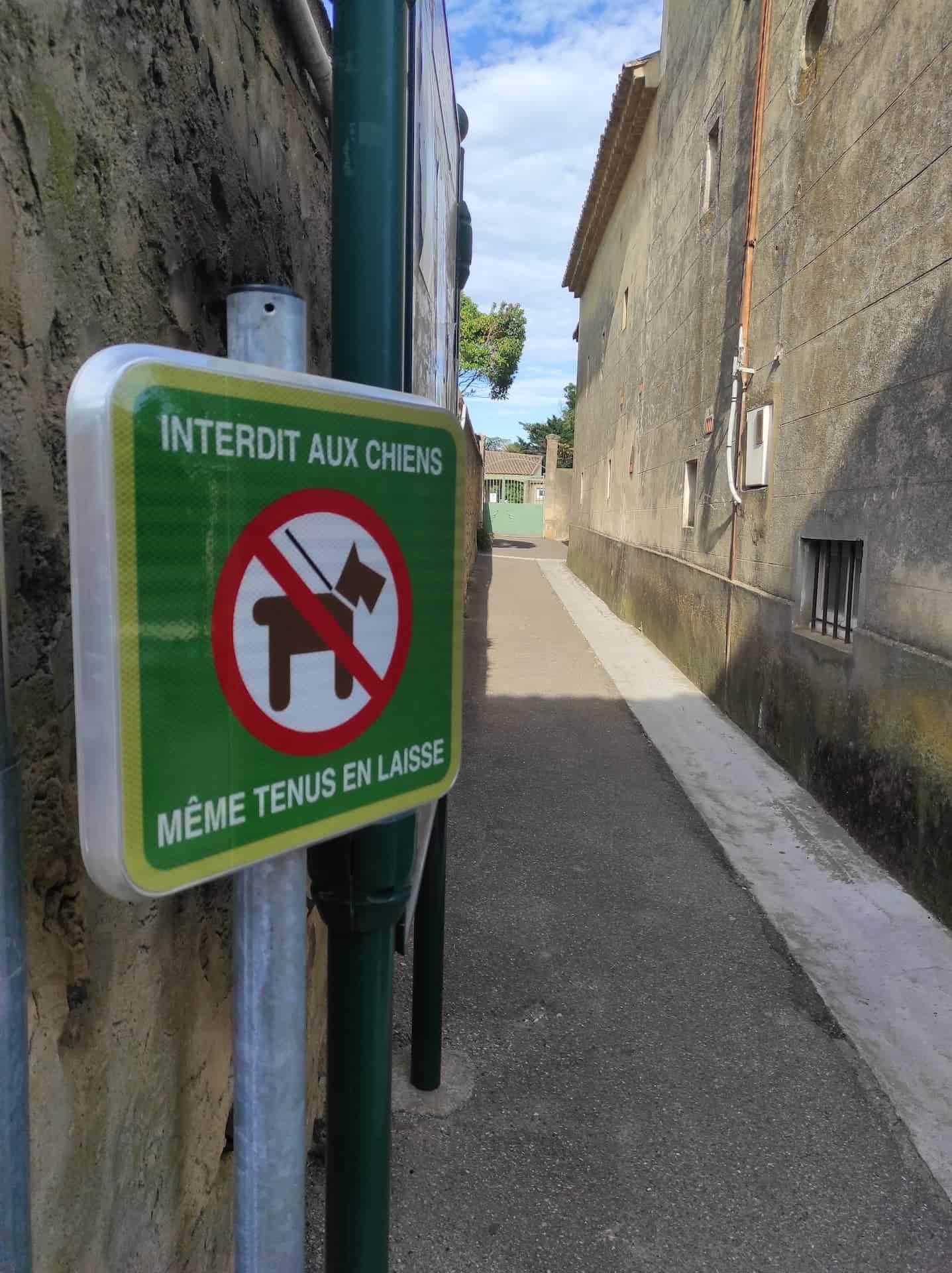 Panneau Chien interdit - Même en laisse - signalétique interdiction